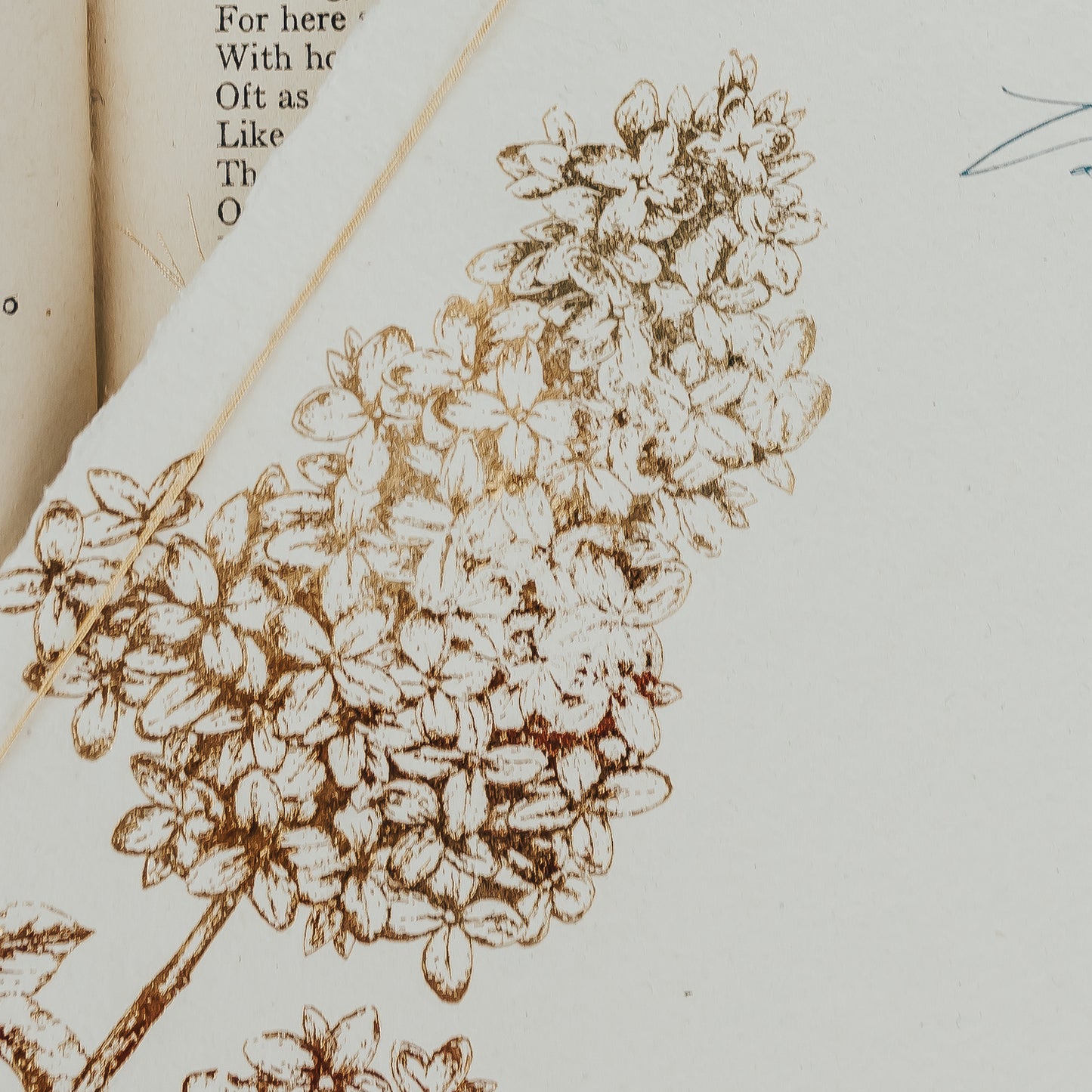 Floral Vow Books